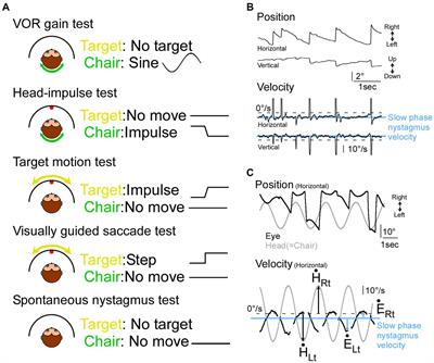 Compensatory saccade in the vestibular impaired monkey